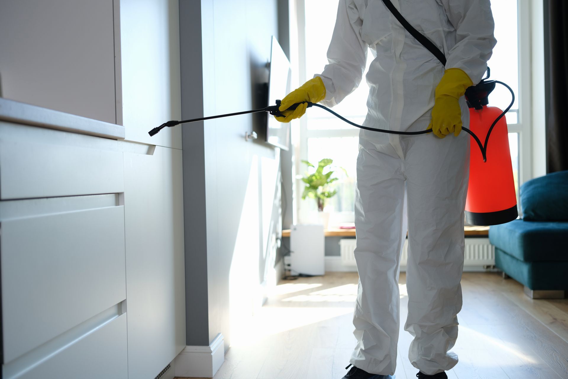 Pest control worker in white suit spraying indoors with a red sprayer and yellow gloves