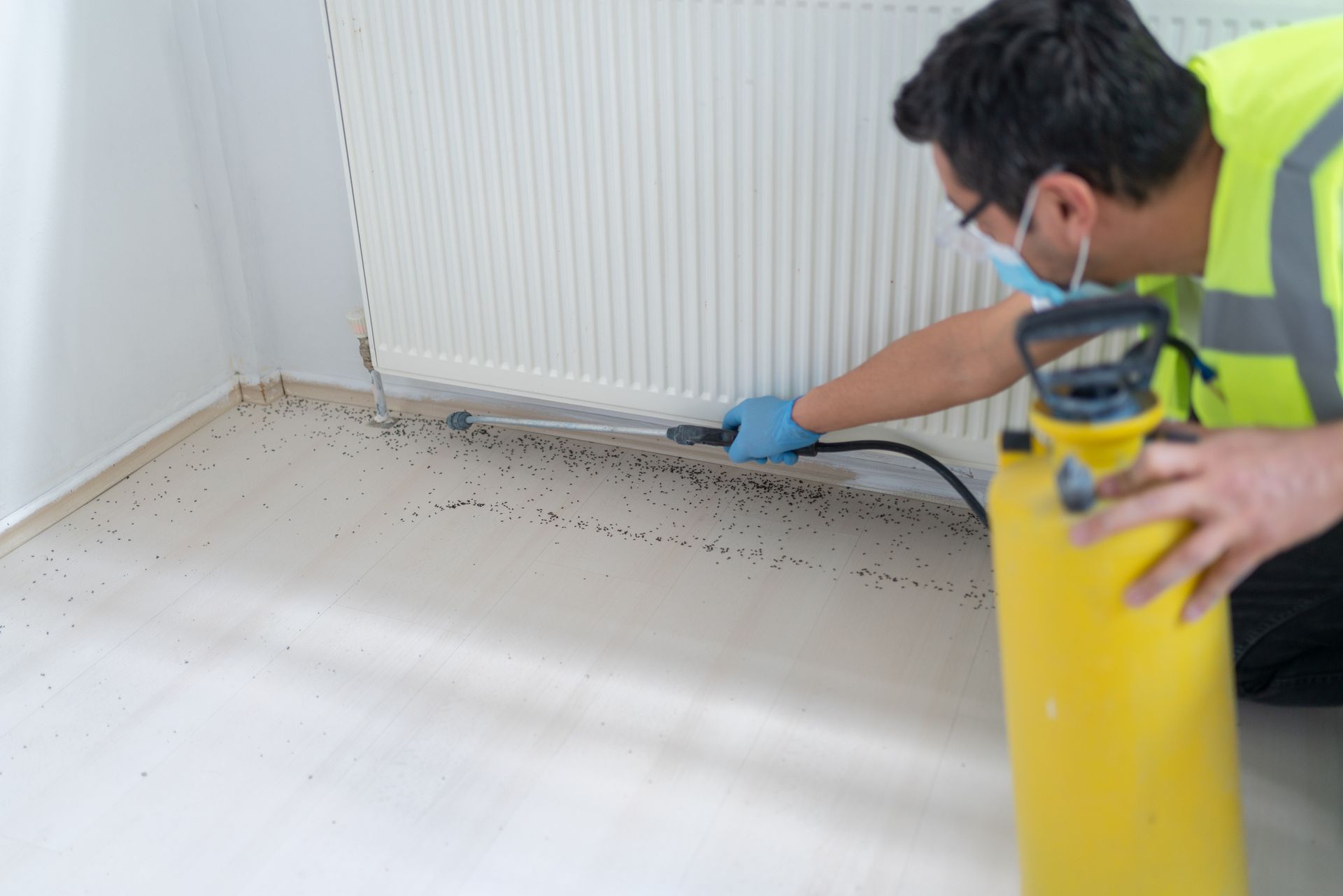 A worker spraying insecticide with a sprayer at home.