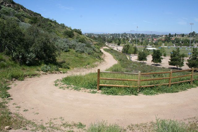 Green trees and shrubs along a dirt path in an open landscape.