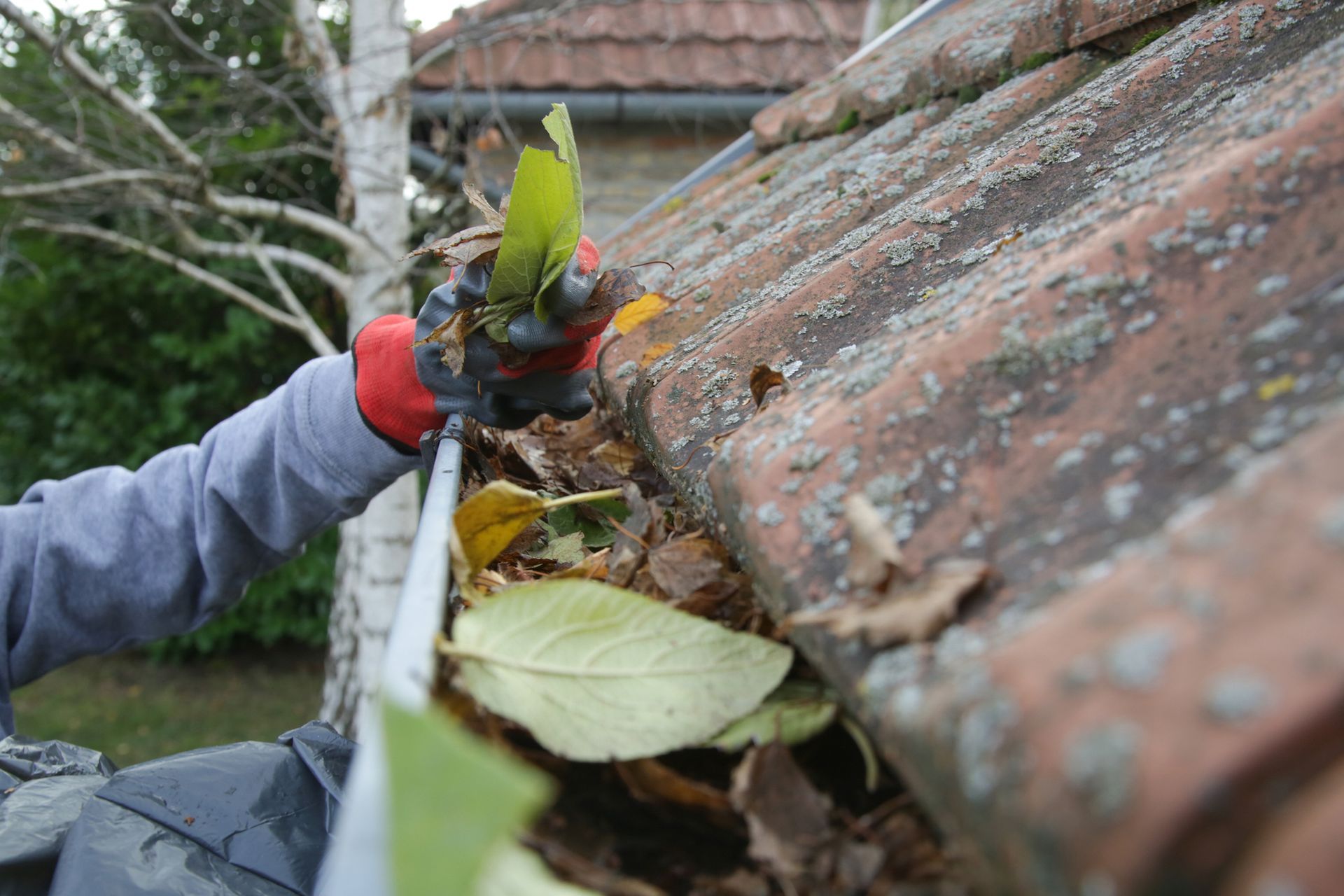 Gloved hand clearing leaves from a roof gutter beside weathered shingles