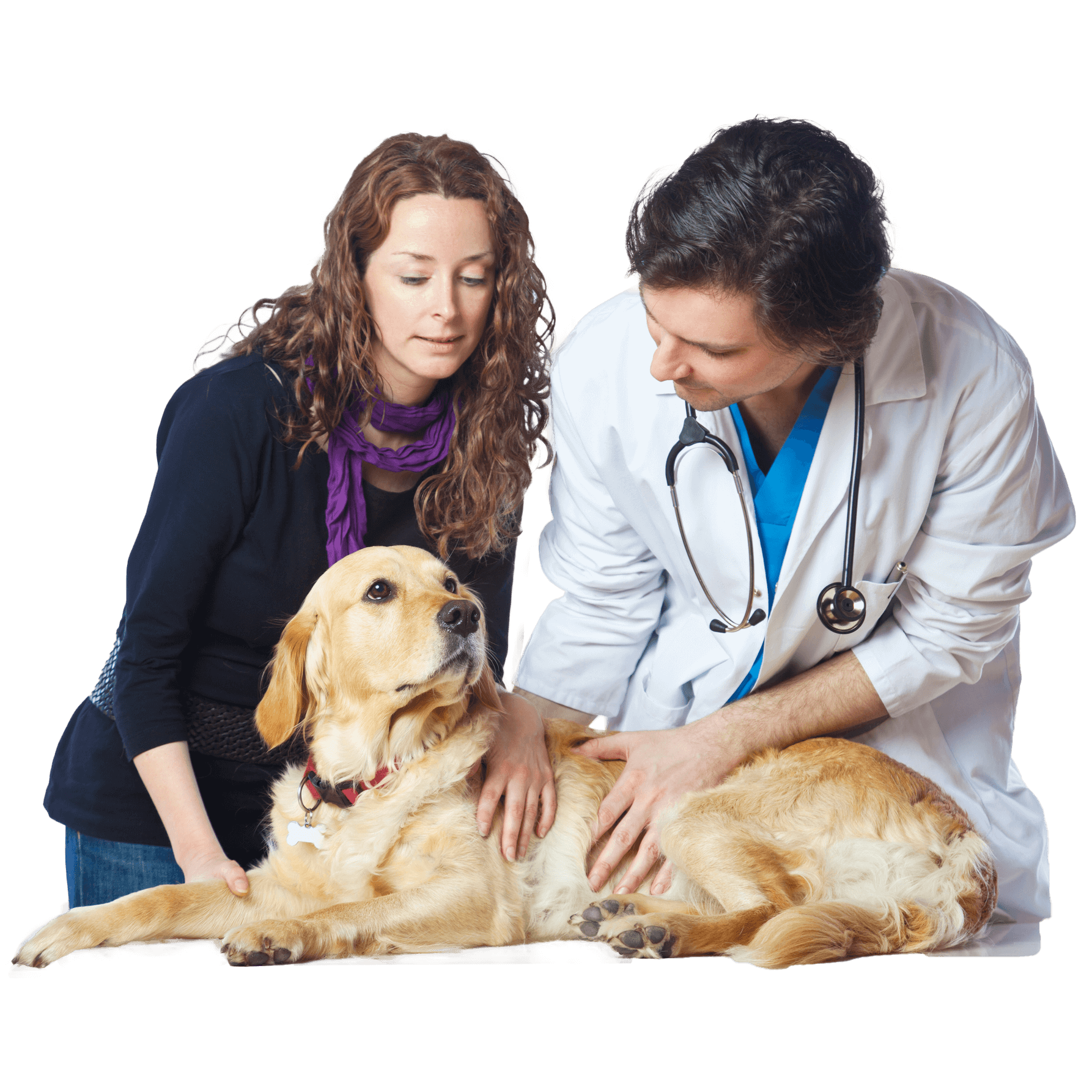 A woman and a doctor are petting a dog. A woman and a doctor are petting a dog.