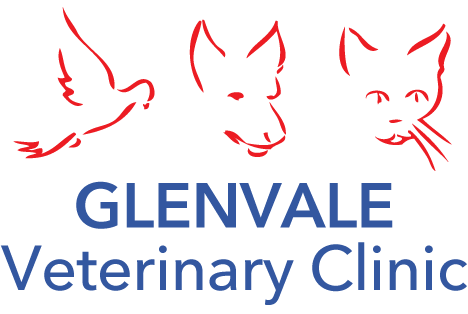 Glenvale Veterinary Clinic Glenvale Veterinary Clinic