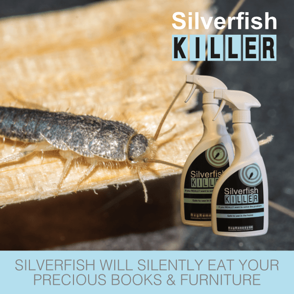 Silverfish Killer with a silverfish climbing over pages of a book.