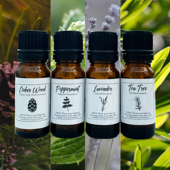 Essential Oils for Infusers - BUY NOW!
Cedar Wood, Peppermint, Lavender, Tea Tree