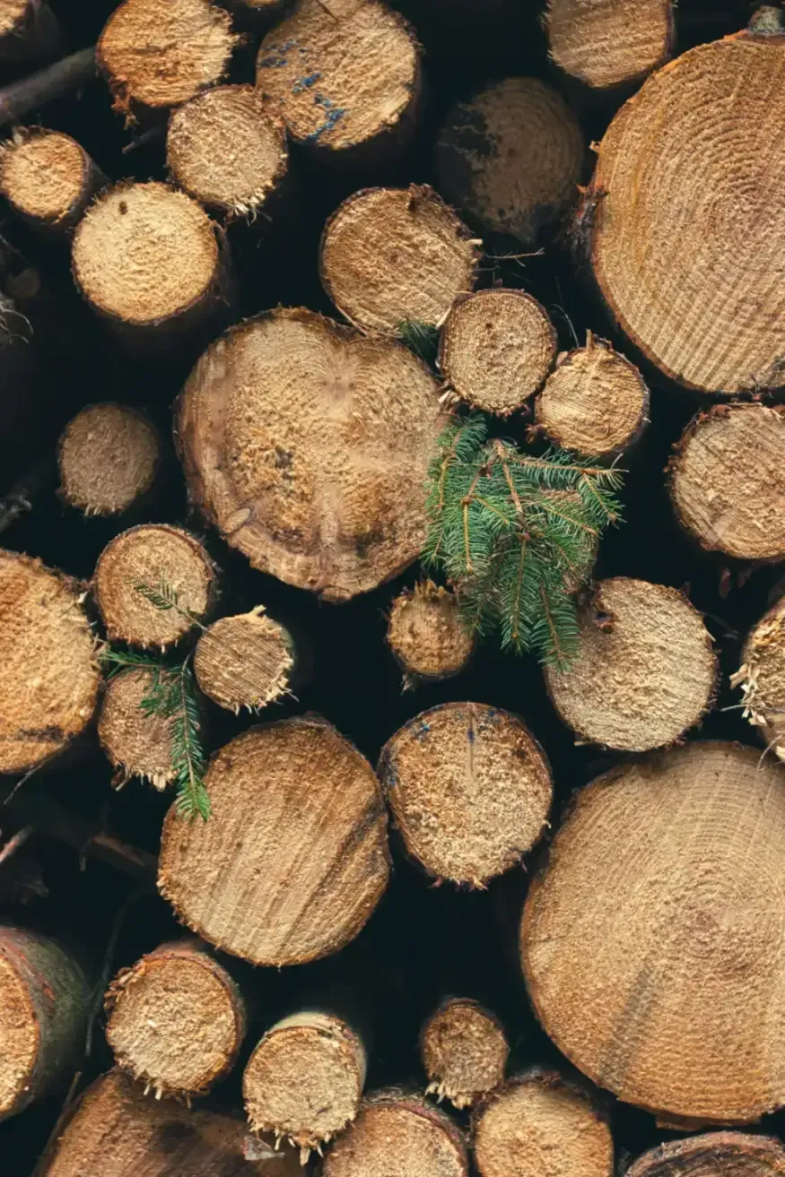 bvt-tree-faq-img