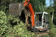 bvt-tree-land-clearing