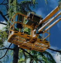 bvt-tree-cabling