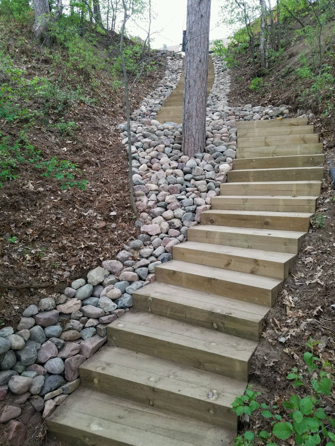 Wooden stairs and rock pathway ascend a wooded hillside.