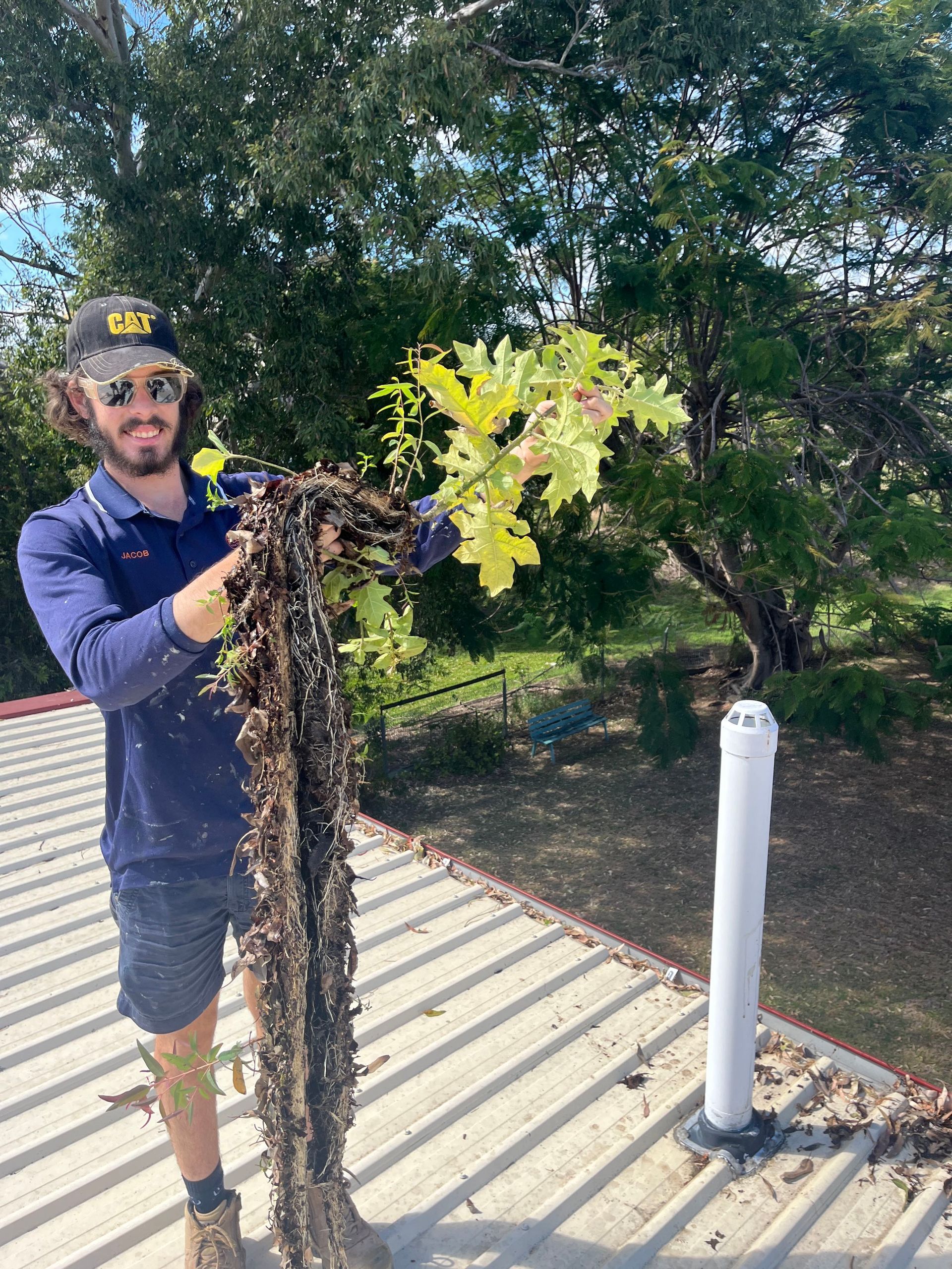 Person holding a vine with roots beside a white post in a sunny garden area
