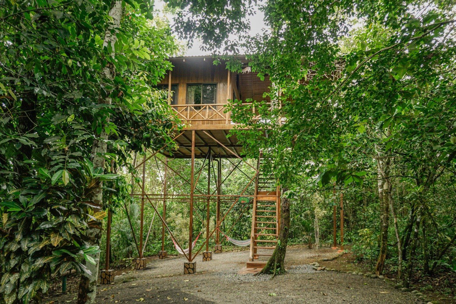 Treehouse in lush green forest; brown wood structure, metal supports, and a ladder.