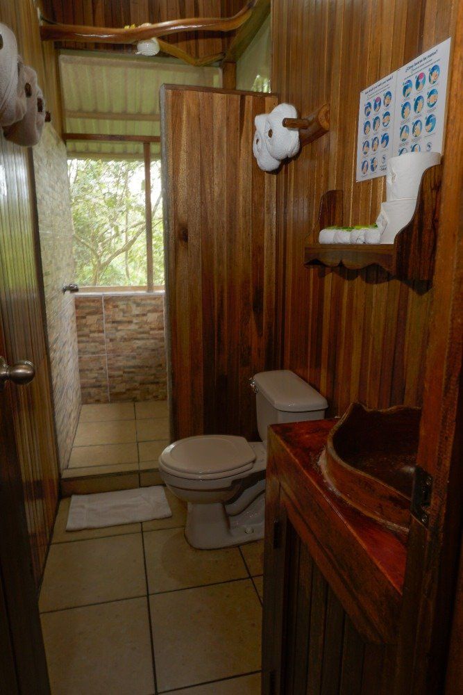 Wooden bathroom with a toilet, sink, and shower, with a window overlooking greenery.