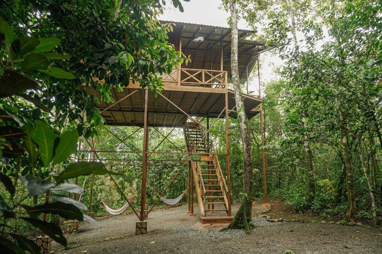 Wooden treehouse in a lush green forest with hammocks beneath, ladder leading up.