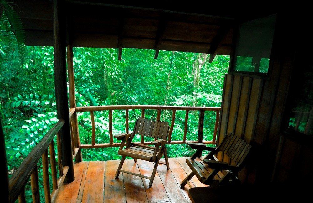 Wooden porch with two chairs overlooking lush green forest.