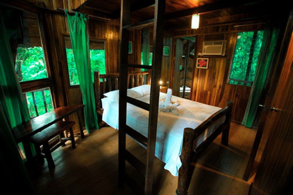 Wooden cabin interior with bed, windows, and green curtains.