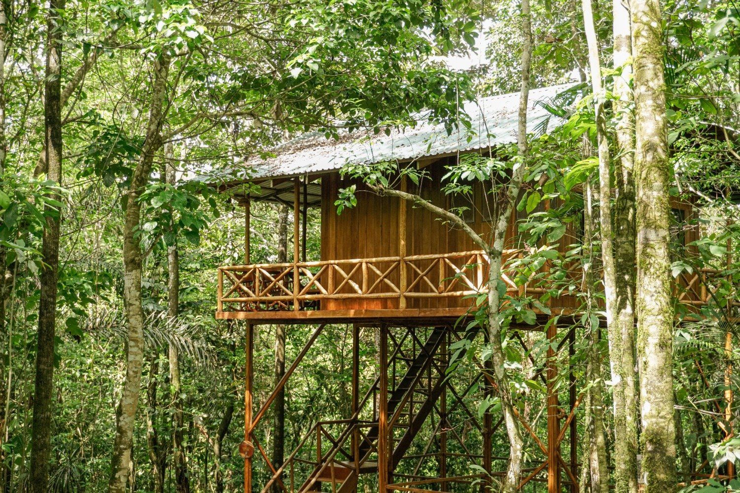 A wooden treehouse elevated in a lush green forest, with a balcony and stairs.