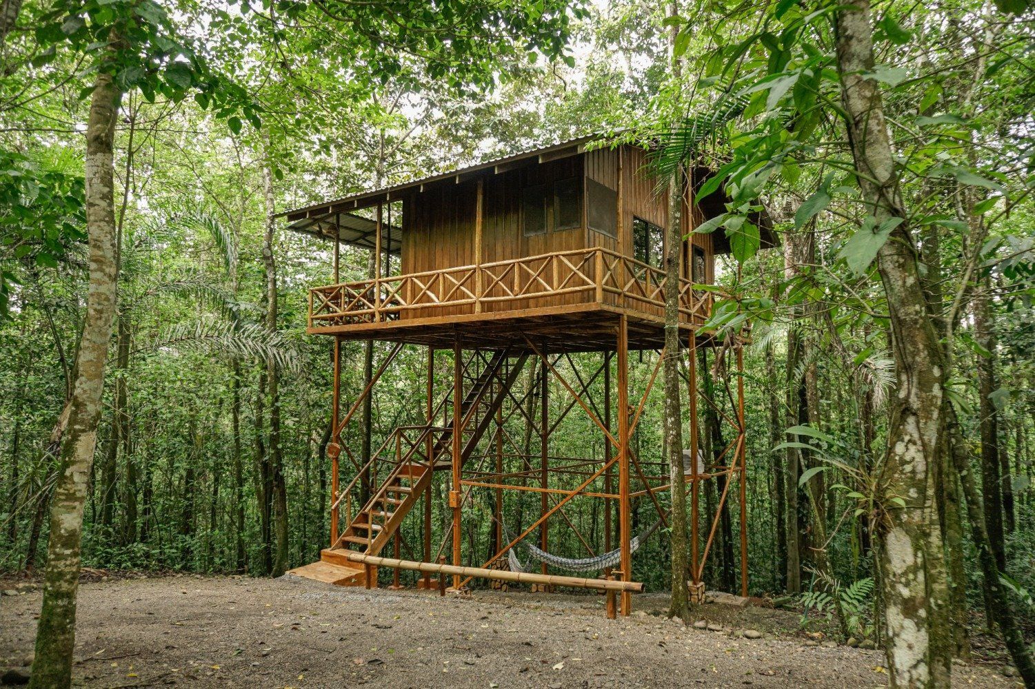 Treehouse cabin on stilts in a lush green forest, with wooden deck, ladder, and hammock.