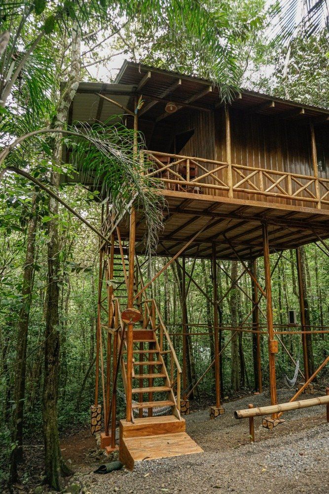 Wooden treehouse in a lush forest, accessible by stairs. Brown wood, green foliage.