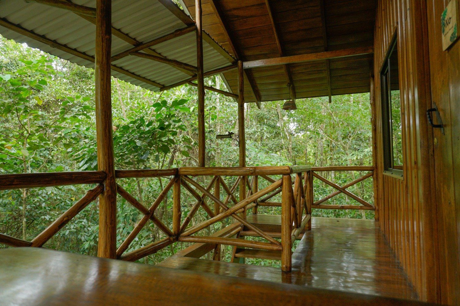 Wooden cabin porch overlooking lush green forest.