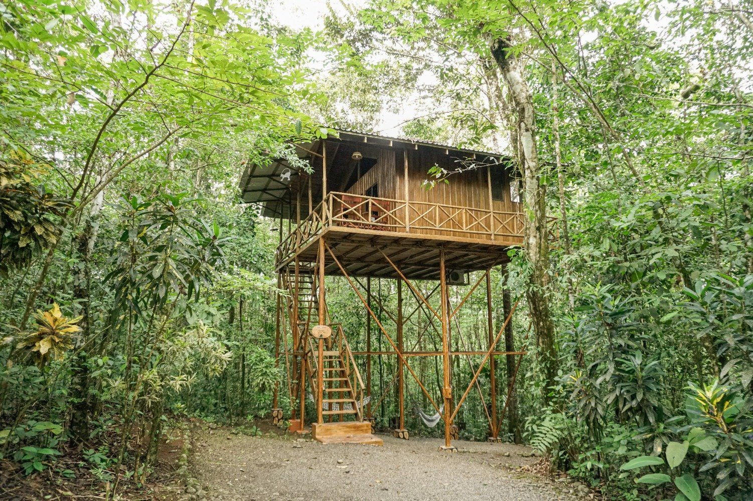 Treehouse in a lush green forest with wooden supports, stairs, and a thatched roof.