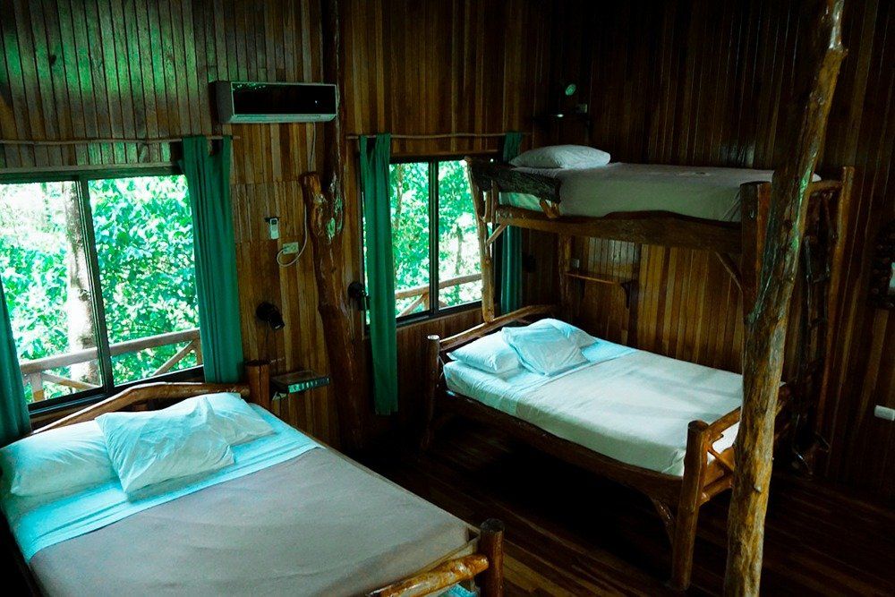 Wooden treehouse bedroom with bunk beds and two twin beds, overlooking lush green trees.
