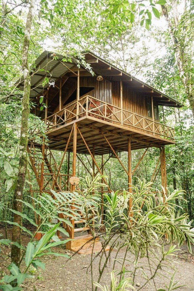 Wooden treehouse nestled in a lush green forest, featuring a balcony and stairs.
