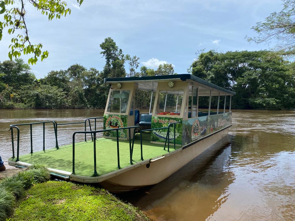 Boat on a riverbank. Beige boat with open sides and green artificial turf on deck. Trees line the brown river.