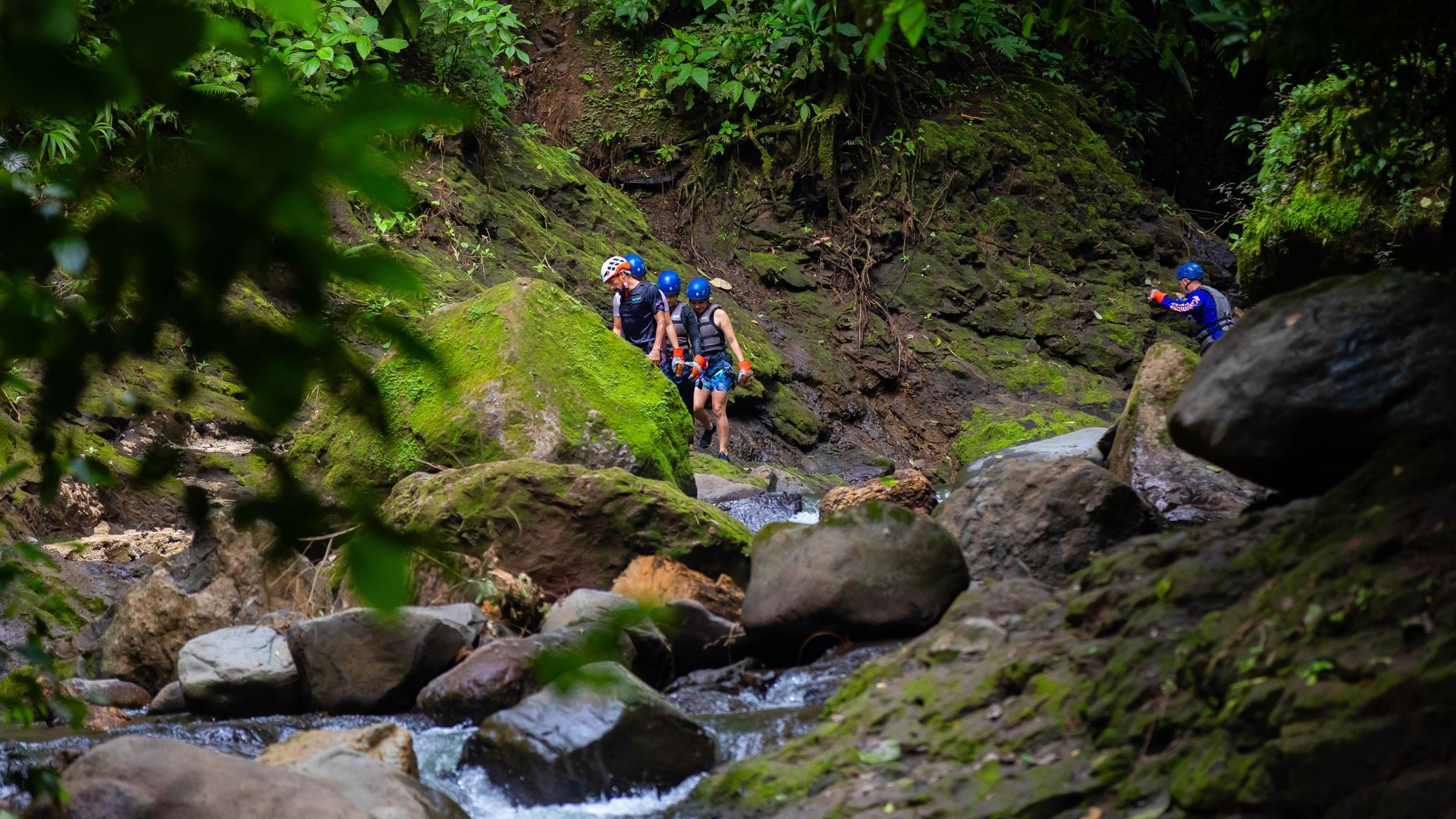 Hikers in blue gear navigating a rocky stream in a mossy, green-forested canyon.