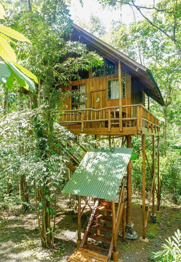 Wooden treehouse cabin on stilts in lush green jungle.