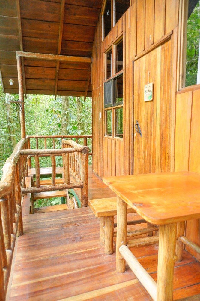 Wooden treehouse porch with table and stairs in a forest.