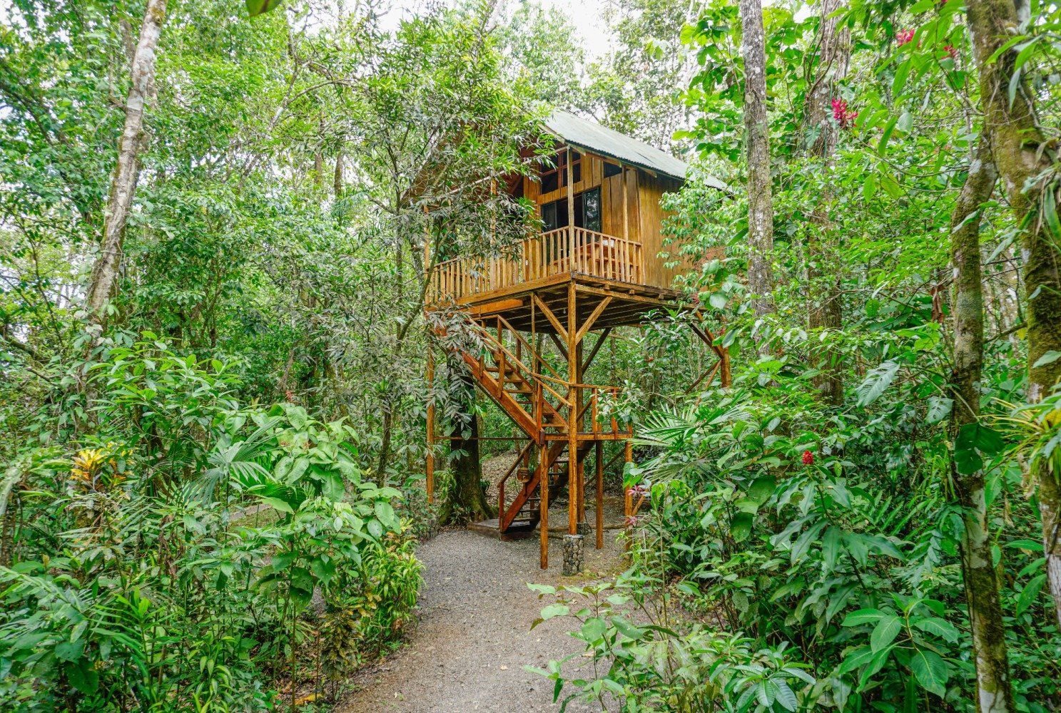 Wooden treehouse in a lush green forest; a staircase leads to the structure.