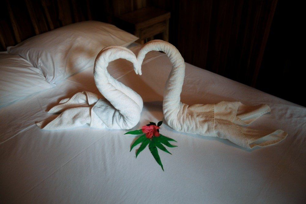 Two white towel swans forming a heart on a white bed, decorated with a red flower and green leaf.