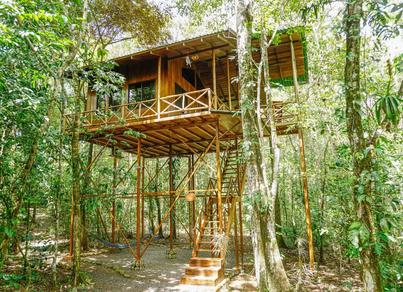 Wooden treehouse in a lush green forest, accessible by stairs.