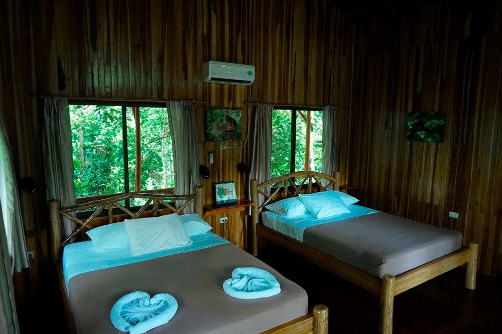 Bedroom with two beds, wooden walls, and windows overlooking lush greenery.