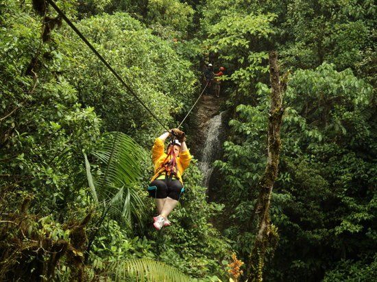 Person ziplining through a lush, green rainforest; waterfall in the background.