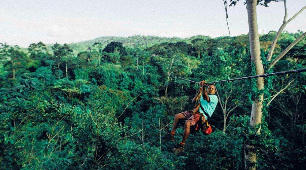 Person zip-lining through a lush green rainforest, trees fill the background.