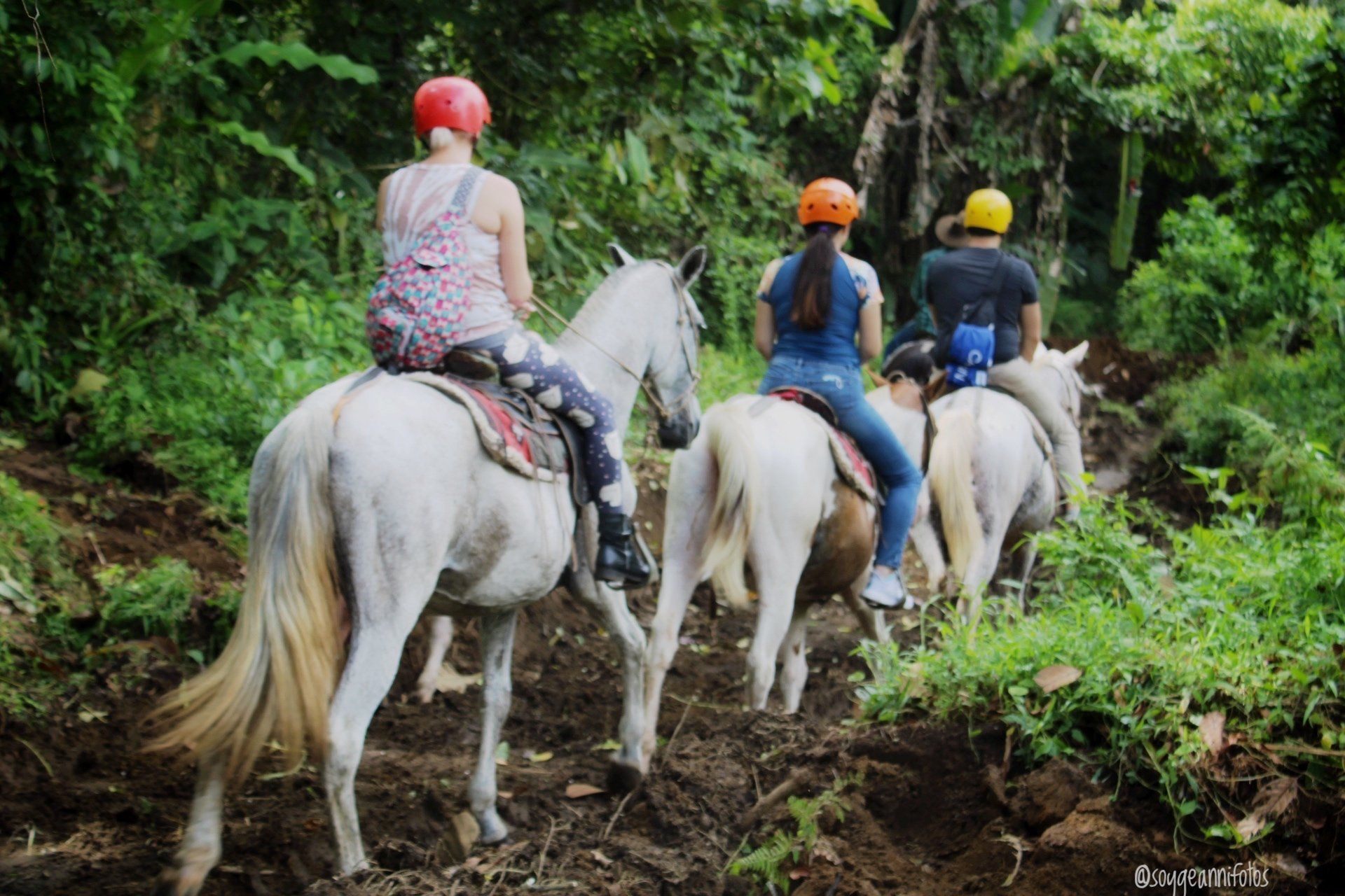 People horseback riding through a muddy forest path. Three white horses with riders wearing helmets.