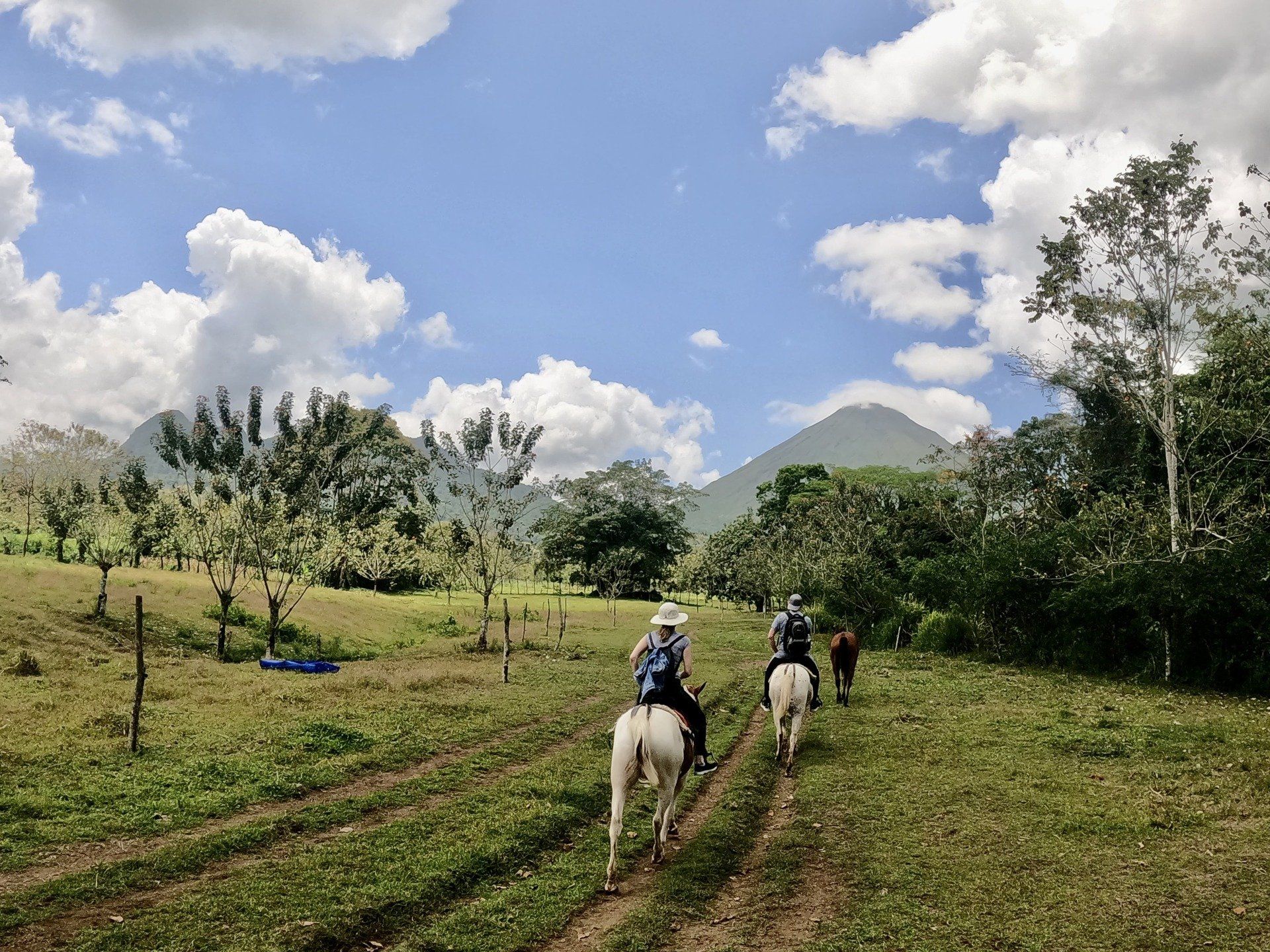 People riding horses on a trail through a grassy field with trees and mountains in the background.