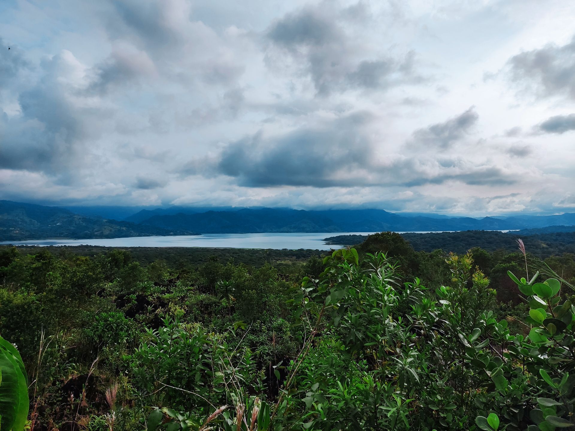 Overlooking a lake, dense green forest under a cloudy sky.