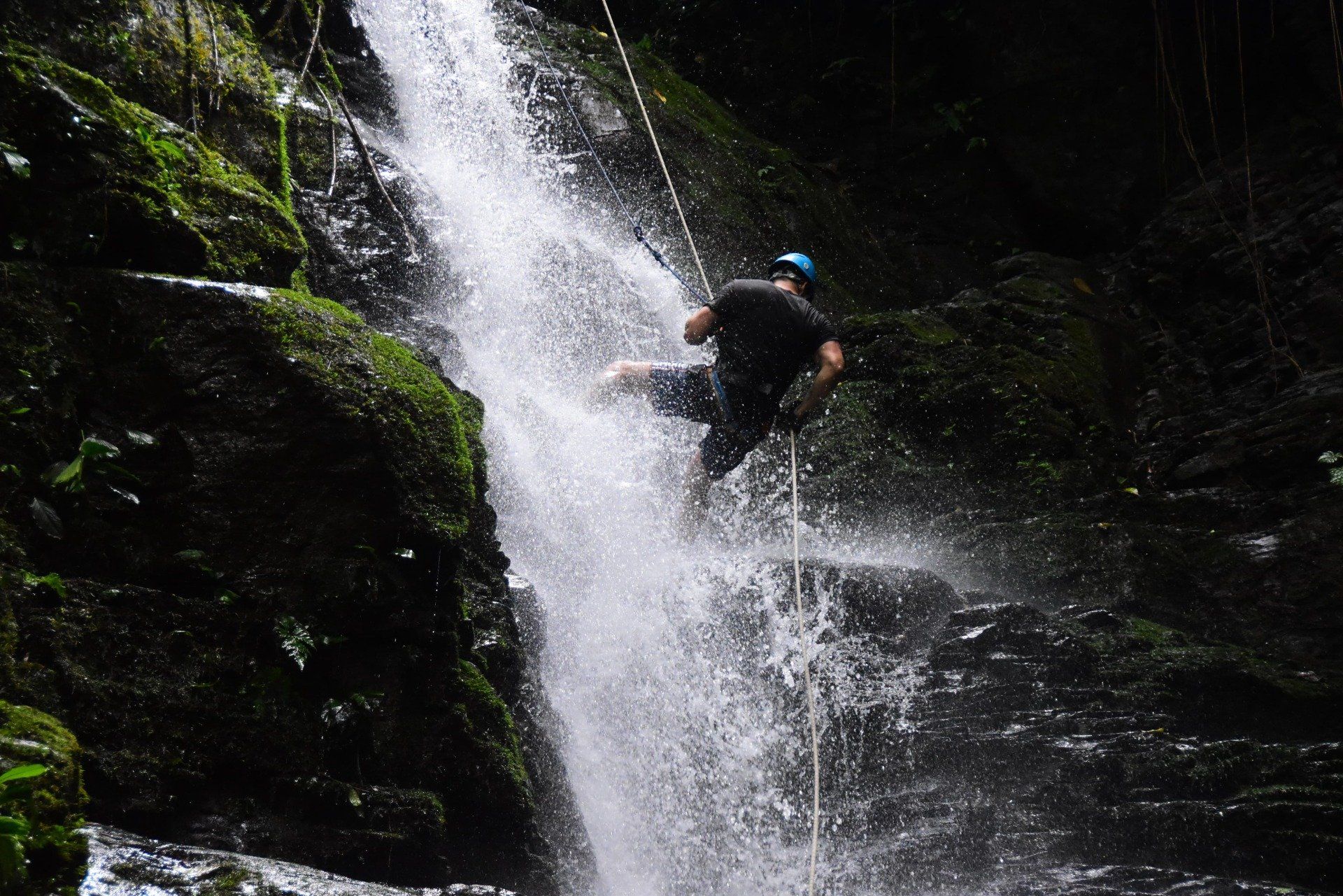 Man rappels down a waterfall in a lush, green canyon.