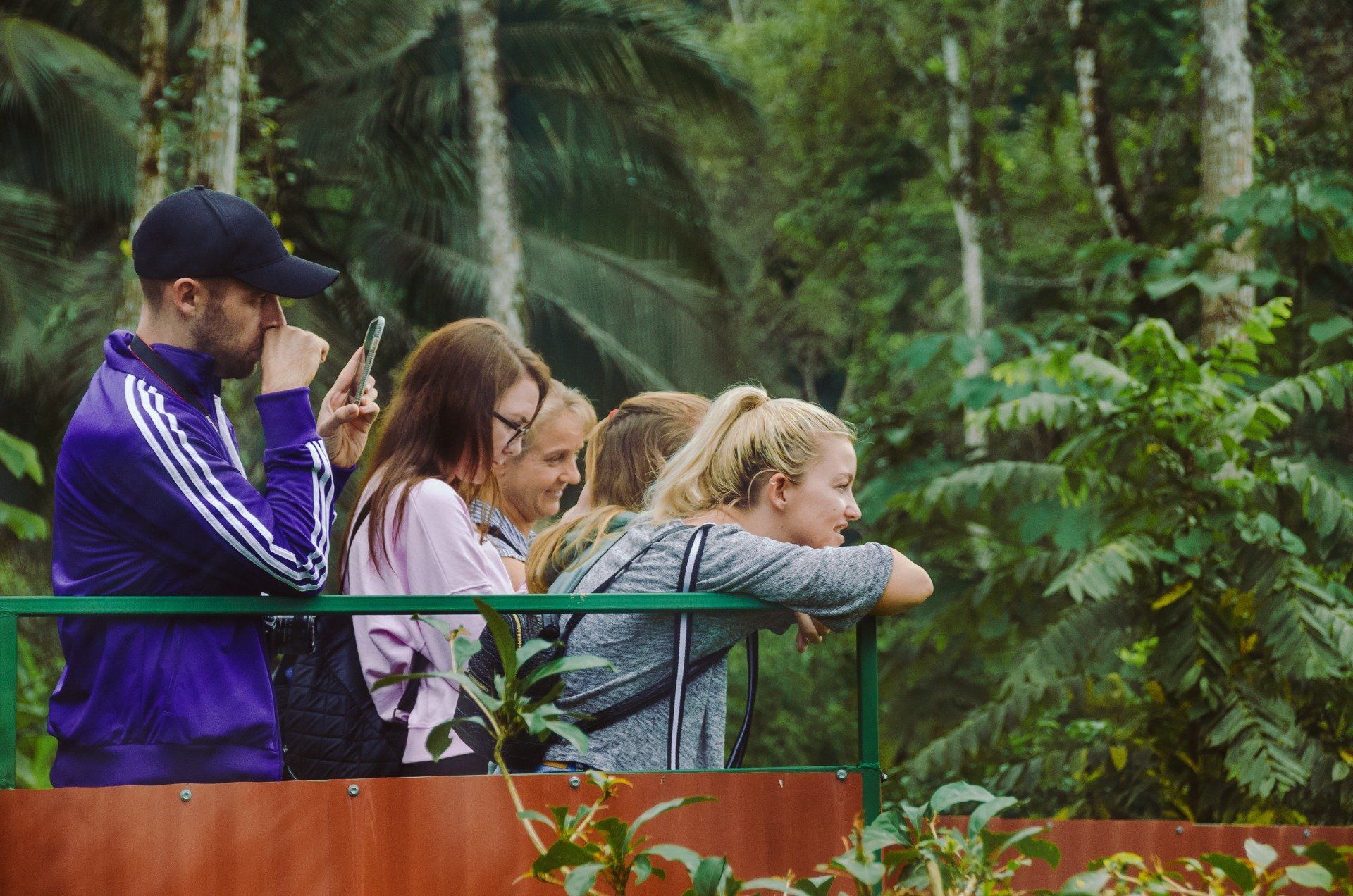 A group of people, looking at trees and foliage, on a platform. One man taking a photo.