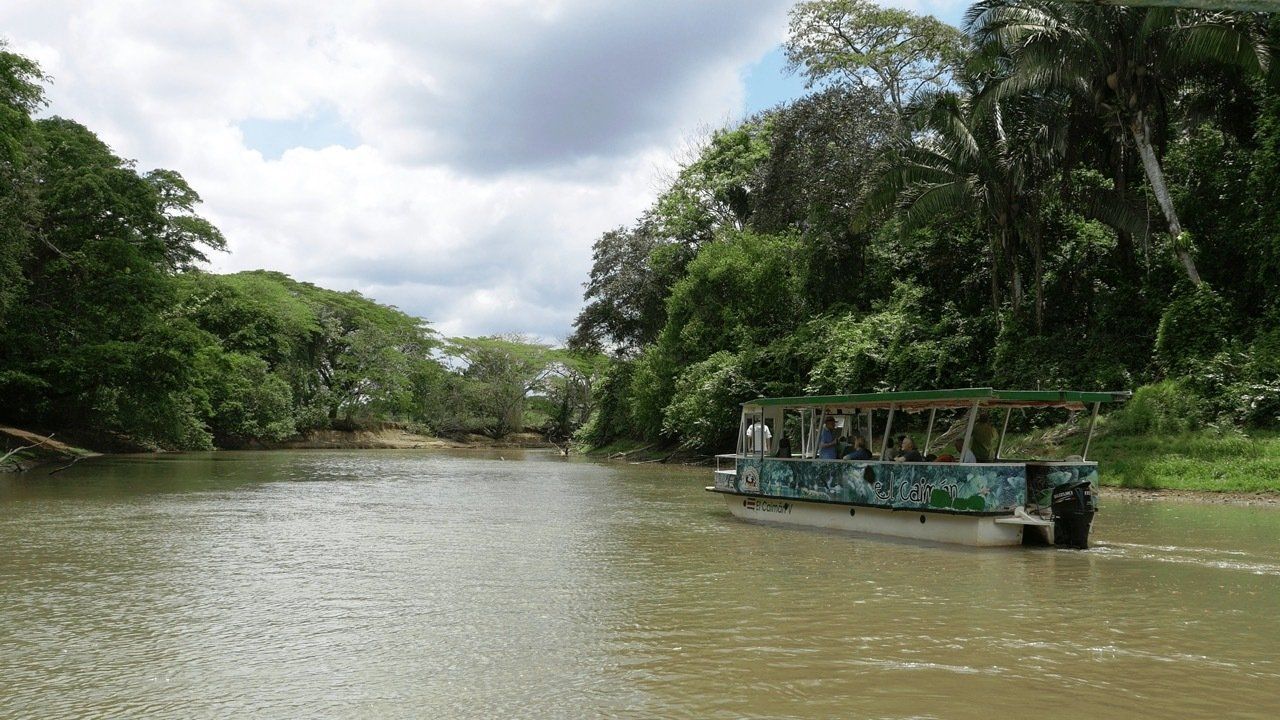 Boat on a muddy river in a lush green jungle, cloudy sky overhead.