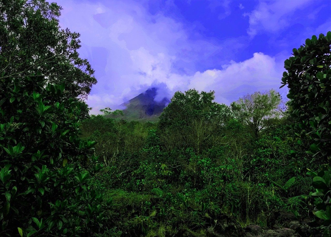 Lush green forest under a cloudy blue sky, mountain peak barely visible in the distance.