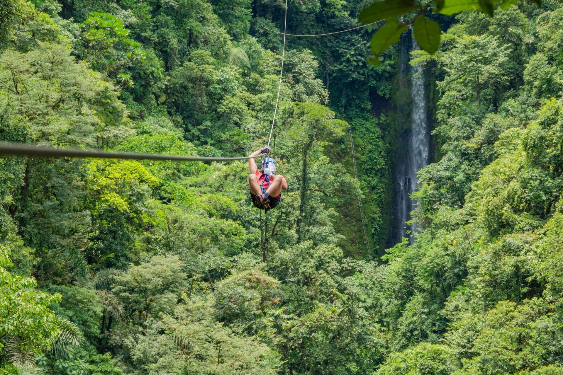 Person ziplining through lush green rainforest, waterfall in the background.