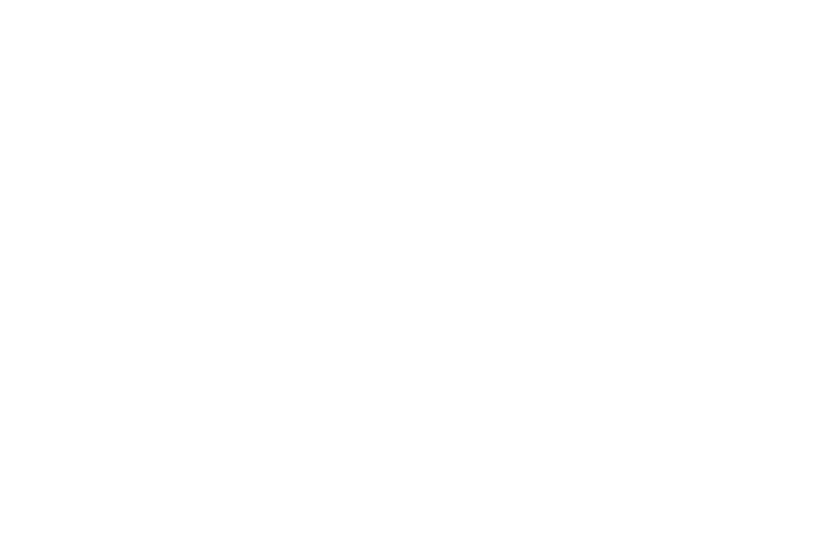 Senior Security Insurance Service logo