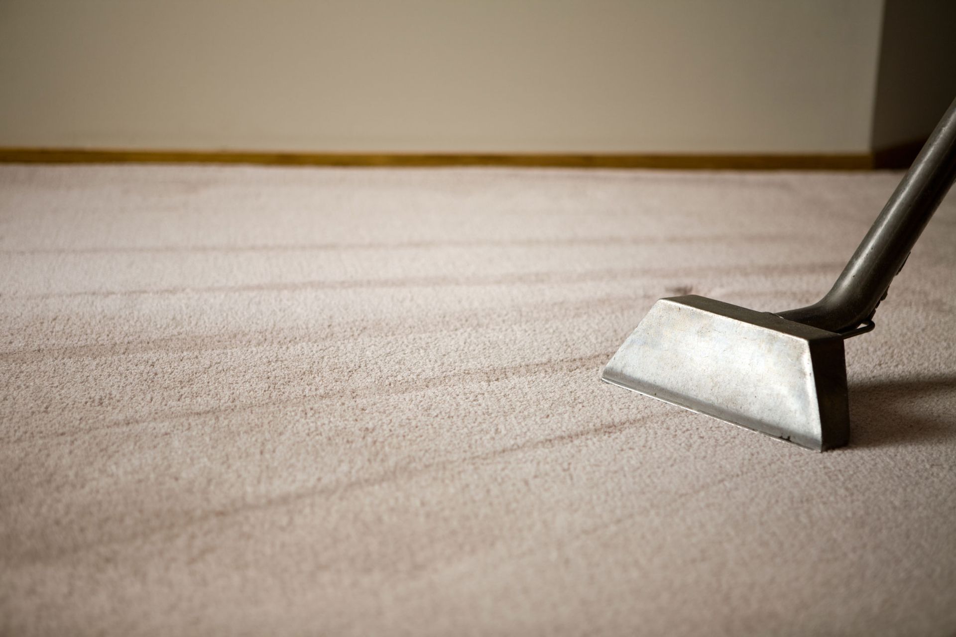 Carpet Cleaning Services Champaign, IL Steamatic Services