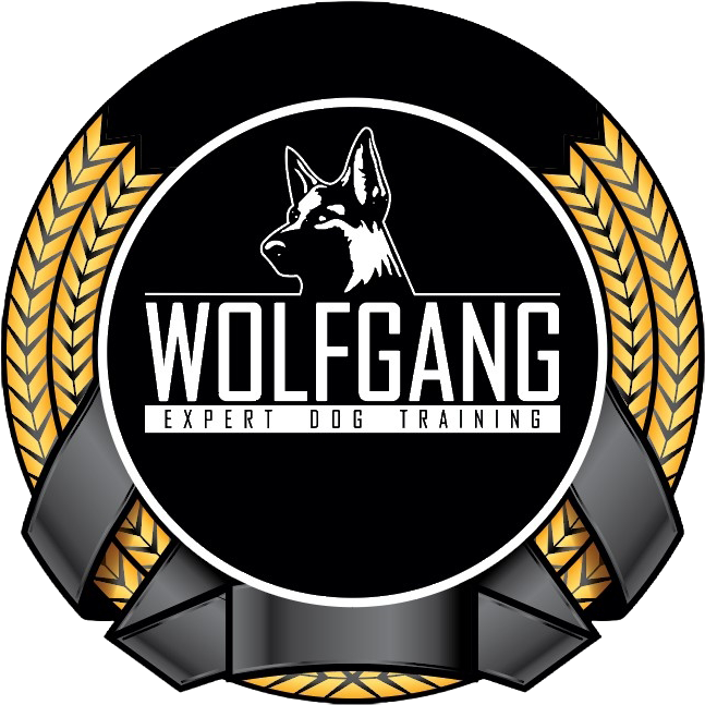 Wolfgang Expert Dog Training
