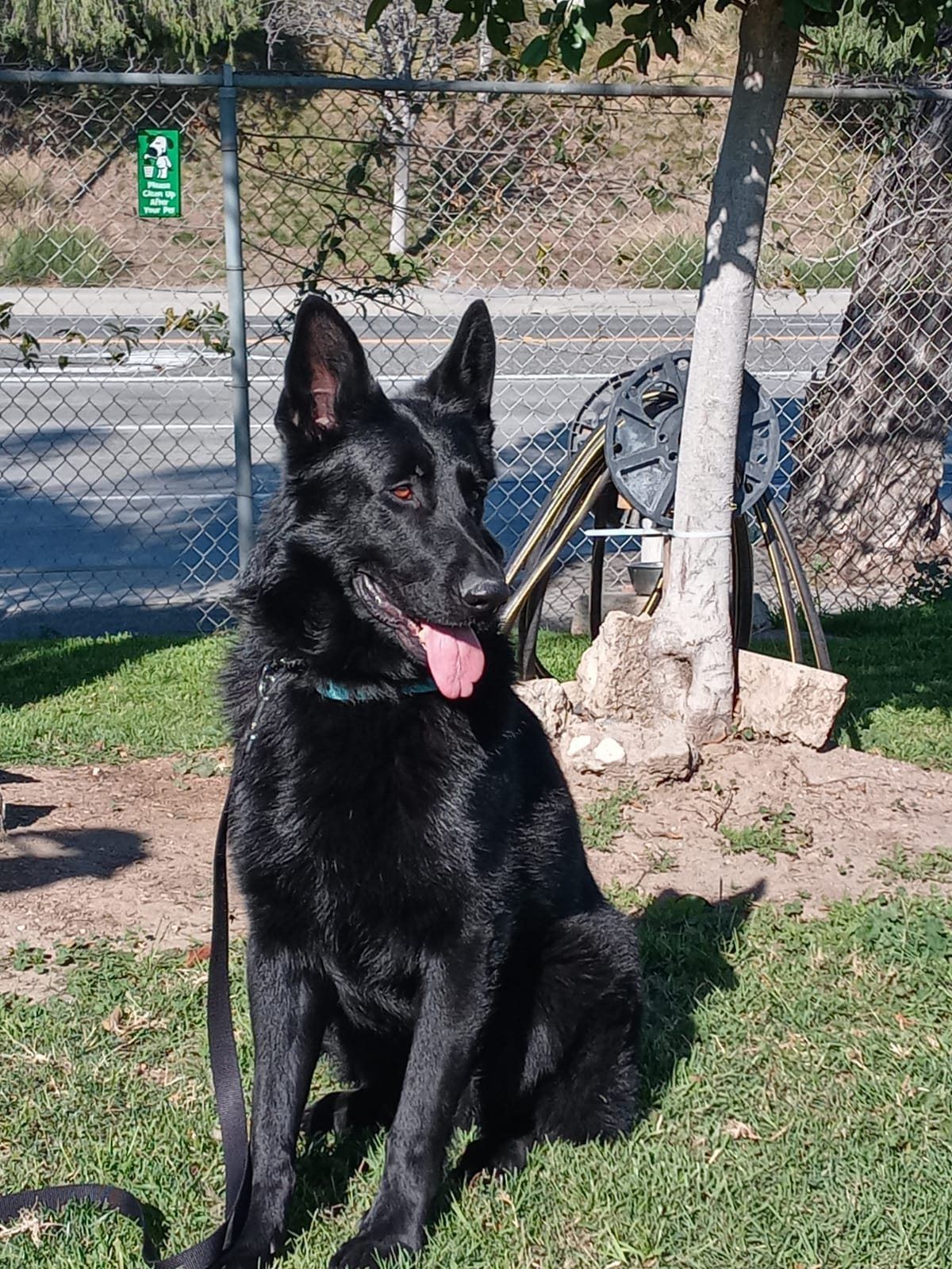 Rudy