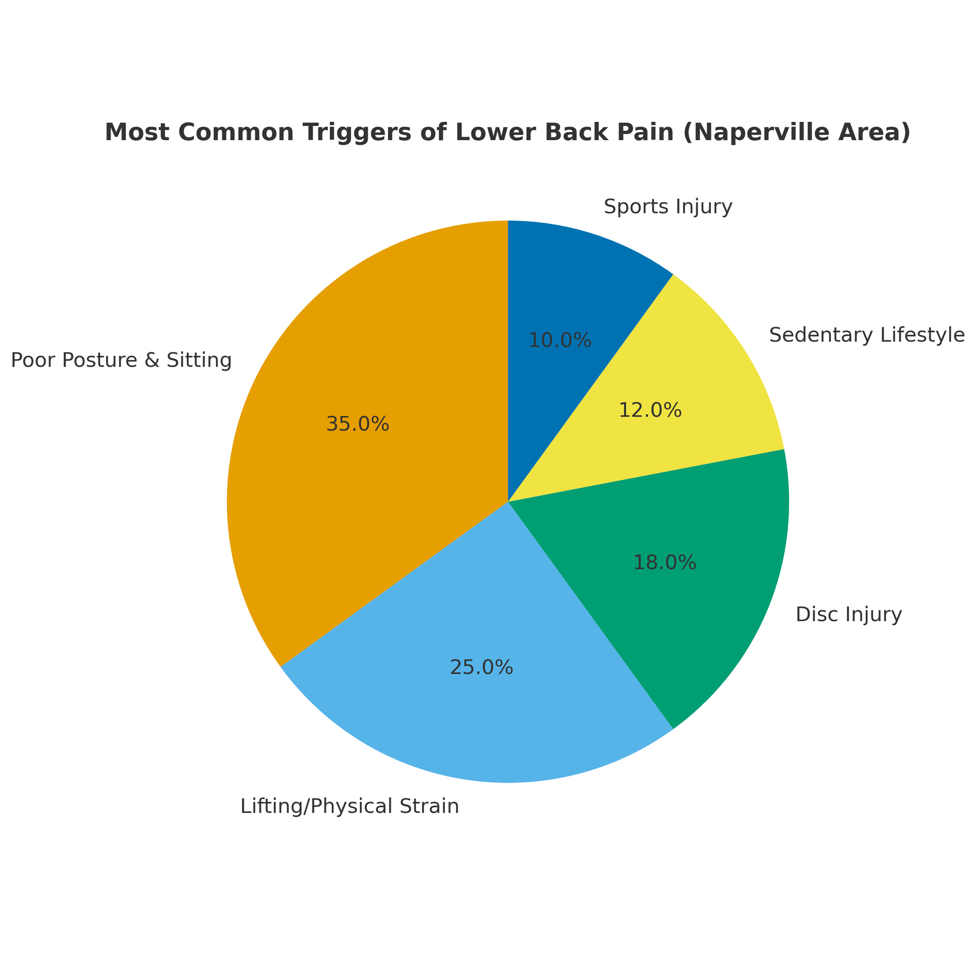 Pie chart showing common triggers of lower back pain in Naperville area. Poor posture & sitting (35%), lifting strain (25%), disc injury (18%), sports injury (10%), and sedentary lifestyle (12%).