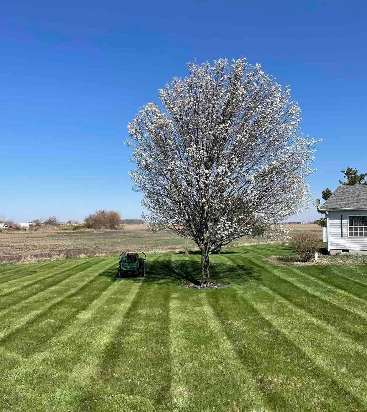 A lawn mower is cutting a lush green lawn in front of a house.