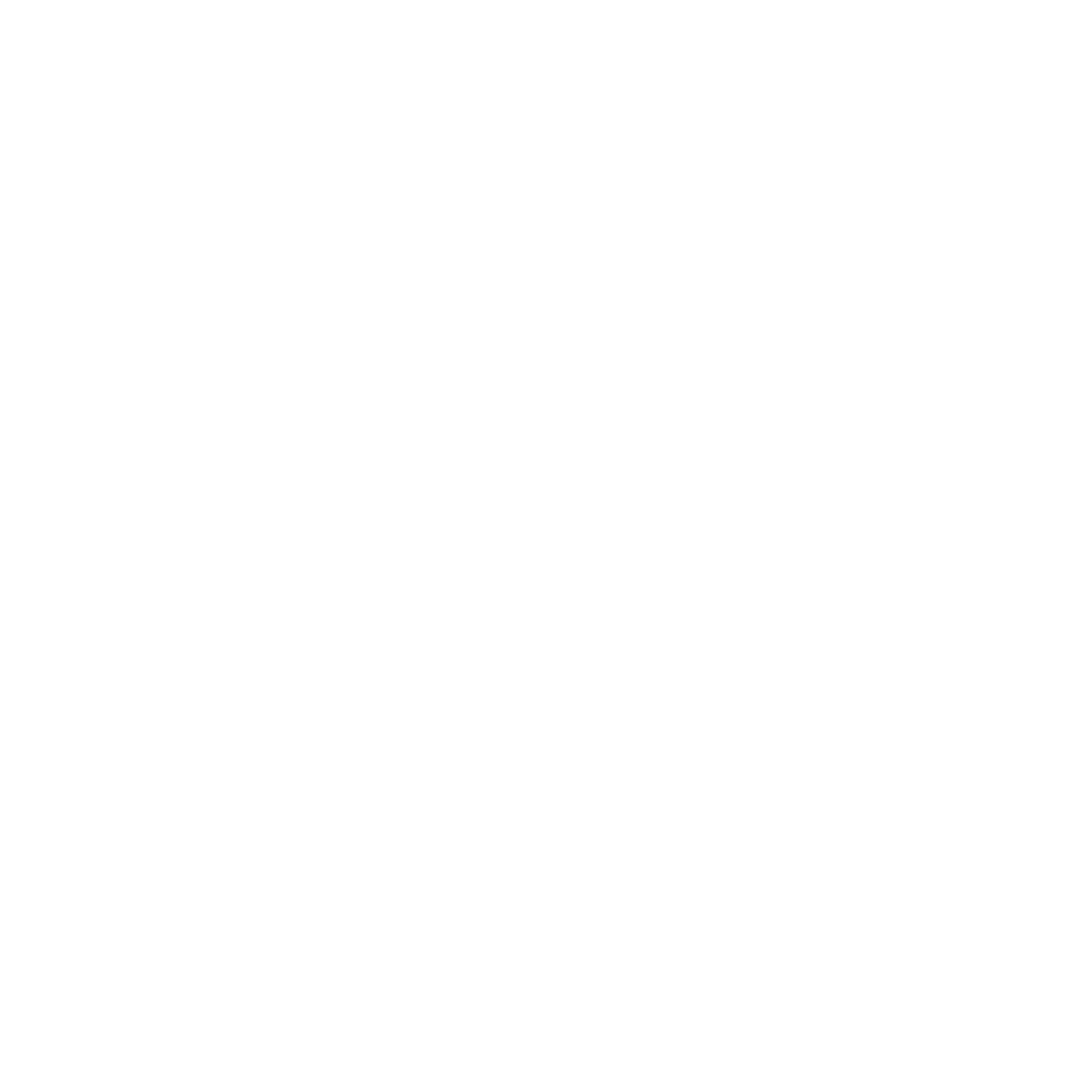 Logo Voetjestijd wit